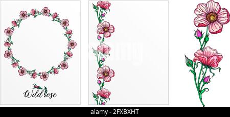 Eine Reihe von Postkarten mit Rosenblumen. Rosa Blüten. Rose. Stock Vektor