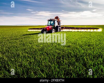 Traktor sprüht Pestizid auf grünes landwirtschaftliches Feld Stockfoto