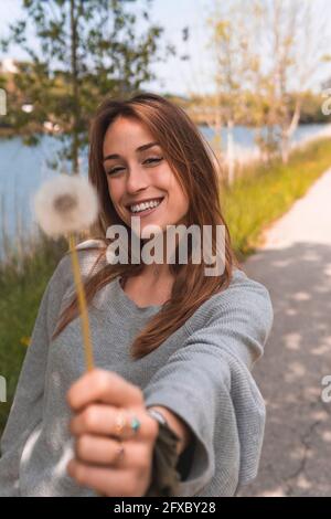 Lächelnde Frau zeigt Blowball in der Natur Stockfoto