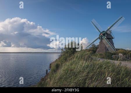 Deutschland, Schleswig-Holstein, Nieby, Windmühle Charlotte am Ufer des Geltinger Birk Reservats Stockfoto