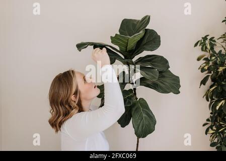 Schwanger Frau untersucht Pflanze an Wand zu Hause Stockfoto