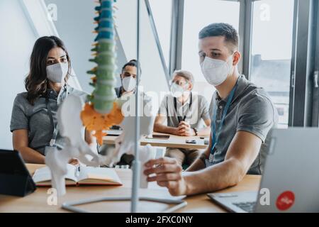 Männlicher Trainee, der während des COVID-19 das Wirbelsäulenmodell im Klassenzimmer untersucht Stockfoto