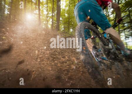 Mann treibt Fahrrad auf Feldweg im Wald Stockfoto