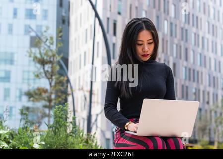Young woman working on laptop Stockfoto