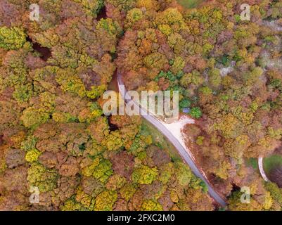 Luftaufnahme der Autobahn, die durch den Herbstwald im Monte Cucco Park, Umbrien, Italien, führt Stockfoto