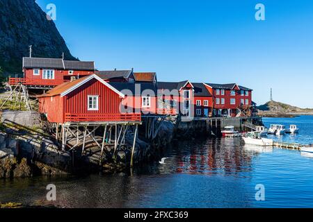 Rote Häuser unter blauem Himmel in Lofoten, Norwegen Stockfoto