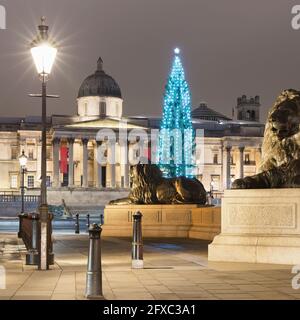 Großbritannien, England, London, Straßenbeleuchtung, das nachts auf dem Trafalgar Square Löwenstatuen beleuchtet, mit Weihnachtsbaum und der National Gallery im Hintergrund Stockfoto