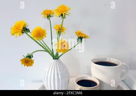 Ein Bouquet von Delelionen in einer weißen, geriffelten Vase und zwei Tassen in verschiedenen Größen mit Kaffee auf einem weißen Tisch. Frühstück. Speicherplatz kopieren Stockfoto