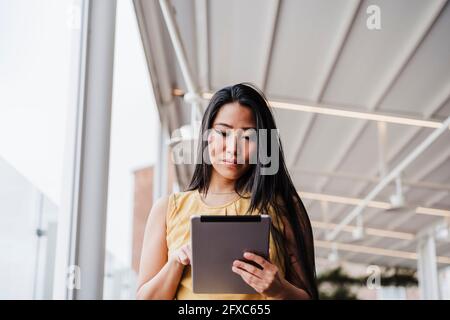 Weibliche Profikanerin, die im Büro ein digitales Tablet nutzt Stockfoto