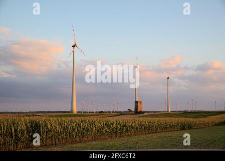 Windmühlen in Linie und Ackerland bei Sonnenuntergang, Österreich, Europa Stockfoto