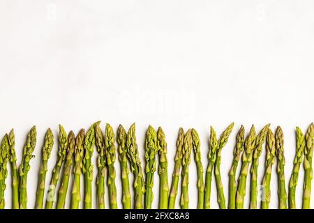 Frischer Spargel auf weißem Hintergrund Stockfoto