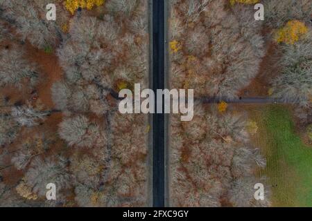 Schweden, Scania, Malmö, Luftaufnahme von geraden Straßenschnitten durch Pildammsparken im Herbst Stockfoto