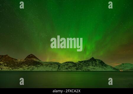 Norwegen, Tromso, Bergsbotn, Panoramaficht auf Aurora Borealis über den Fjord Stockfoto