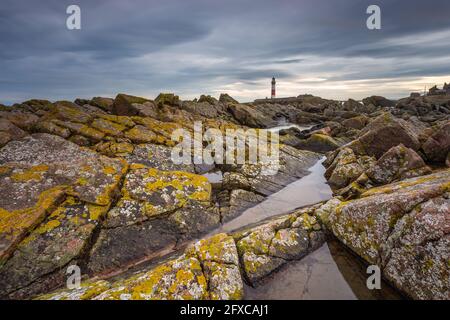 Felsen am Buchan Ness Vorgewende mit Leuchtturm am Boddam Aberdeenshire Schottland Großbritannien an der Nordsee. Stockfoto