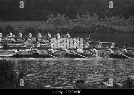 Nationale Rudermeisterschaften auf Bosbaan, siehe 237469. Startfinale 8, 9. August 1970, Rudern, Niederlande, 20. Jahrhundert Presseagentur Foto, Nachrichten zu erinnern, Dokumentarfilm, historische Fotografie 1945-1990, visuelle Geschichten, Menschliche Geschichte des zwanzigsten Jahrhunderts, Momente in der Zeit festzuhalten Stockfoto