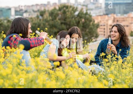 Glückliche Freunde und Freundinnen, die auf dem Feld Bier trinken Stockfoto