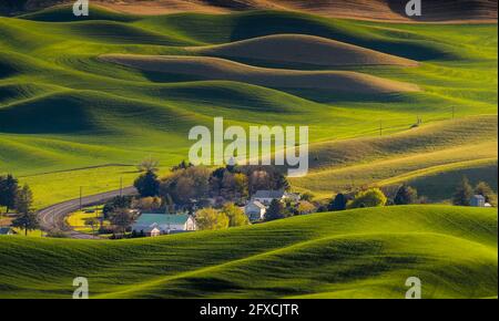 Blick auf schöne Farm Land sanften Hügeln von Steptoe Butte Parken Sie in Washington Stockfoto