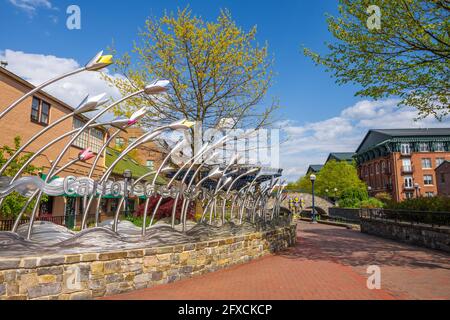 Frederick, MD - 19. April 2021: Die Edelstahlskulptur „Water Lily Waves“ von Thomas Sterner befindet sich in der Innenstadt von Caroll Creek Park. Stockfoto