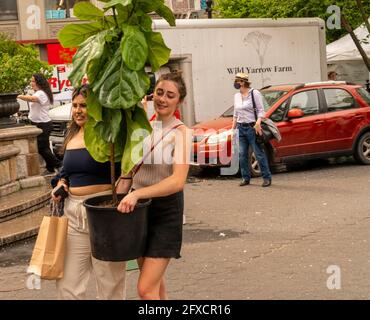 Maskenlose Käufer am Samstag, den 22. Mai 2021, auf dem Union Square Greenmarket in New York. (© Richard B. Levine) Stockfoto