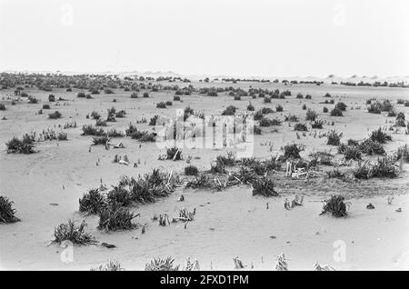 Presseexkursion Südliches Flevoland, Nummer 15 zurückgewonnenes Land in Zukunft Flevopolder, 13. Februar 1968, Niederlande, Foto der Presseagentur des 20. Jahrhunderts, zu erinnerende Nachrichten, Dokumentation, historische Fotografie 1945-1990, visuelle Geschichten, Menschliche Geschichte des zwanzigsten Jahrhunderts, Momente in der Zeit festzuhalten Stockfoto