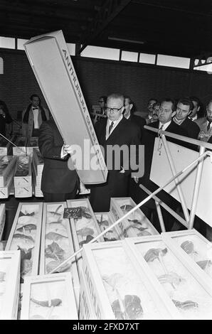 Präsident Heinemann und Königin Juliana besuchen Cooperatieve Centrale Westlandse Snijbloemenveiling in Honselersdijk, 26. November 1969, BLUMEN, Besuche, queens, Auktionen, Niederlande, Foto der Presseagentur des 20. Jahrhunderts, News to Remember, Dokumentarfilm, historische Fotografie 1945-1990, visuelle Geschichten, Menschliche Geschichte des zwanzigsten Jahrhunderts, Momente in der Zeit festzuhalten Stockfoto