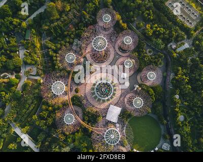 Luftaufnahme des grünen Gartens Supertree Grove während des Sonnenaufgangs in Singapur. Stockfoto