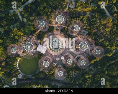 Luftaufnahme des grünen Gartens Supertree Grove während des Sonnenaufgangs in Singapur. Stockfoto