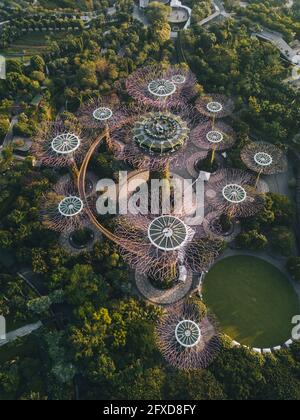 Luftaufnahme des grünen Gartens Supertree Grove während des Sonnenaufgangs in Singapur. Stockfoto