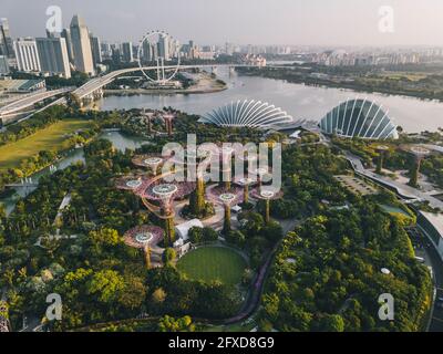 Luftaufnahme der Gardens by the Bay und der Skyline von Singapur bei Sonnenaufgang. Stockfoto