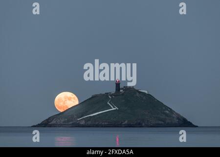 Ballycotton, Cork, Irland. Mai 2021. Hinter dem Leuchtturm von Ballycotton, Co. Cork, Irland, erhebt sich ein Vollblut-Blütensupermond. - Credit; David Creedon / Alamy Live News Stockfoto