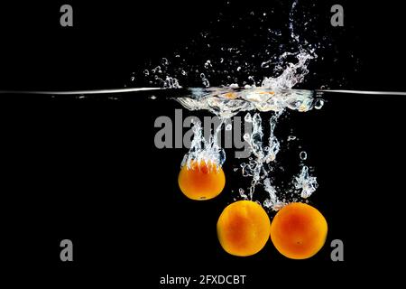 Drei saftige Mandarinen im Wasser auf schwarzem Hintergrund Stockfoto