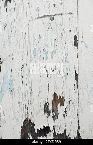 Die abblätternde weiße Farbe belichtet frühere braune und blaue Schichten auf einem alten Garagentor. Stockfoto