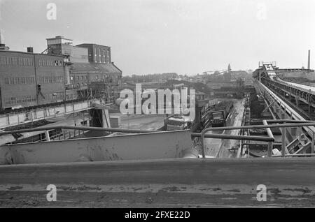 Zuckerrüben-Kampagne auf dem CSM in Halfweg in vollem Gange; Übersicht auf dem CSM, 15. Oktober 1974, Zuckerrüben, Kampagnen, Übersichten, Niederlande, Foto der Presseagentur des 20. Jahrhunderts, zu erinnerende Nachrichten, Dokumentarfilm, historische Fotografie 1945-1990, visuelle Geschichten, Menschliche Geschichte des zwanzigsten Jahrhunderts, Momente in der Zeit festzuhalten Stockfoto