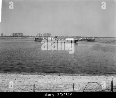 Tanker steigt auf Wiese ein, Tanker Patria aus Hamburg bei Fort St. Andries zwischen Heerwaarden und Rossum, 14. Januar 1966, Tanker, Wiesen, Niederlande, Presseagentur des 20. Jahrhunderts, Foto, Nachrichten zum erinnern, Dokumentarfilm, historische Fotografie 1945-1990, visuelle Geschichten, Menschliche Geschichte des zwanzigsten Jahrhunderts, Momente in der Zeit festzuhalten Stockfoto