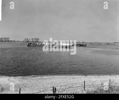 Tanker fährt in die Wiese, Tanker Patria aus Hamburg bis St. Andries zwischen Heerwaarden und Rossum, 14. Januar 1966, Tanker, Wiesen, Niederlande, Presseagentur des 20. Jahrhunderts, Foto, Nachrichten zum erinnern, Dokumentarfilm, historische Fotografie 1945-1990, visuelle Geschichten, Menschliche Geschichte des zwanzigsten Jahrhunderts, Momente in der Zeit festzuhalten Stockfoto