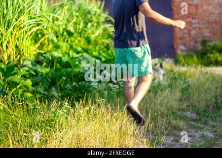 Unschärfe junger Mann zu Fuß mit einem Hund, sibirische laika Husky, im Dorf, auf dem Land. Sommer, Seitenansicht. Das Haustier schleppt den Besitzer. Verschwommen Stockfoto