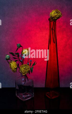 Stillleben mit Rosen in Glasvasen auf einem roten Hintergrund Stockfoto