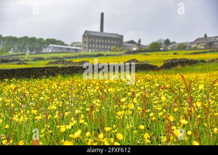Old Town Mill, Mitchell Mill durch Buttercup Meadow, Hebden Bridge, Calderdale, West Yorkshire Stockfoto