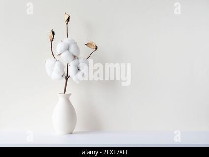 Minimale Zusammensetzung mit Zweig der getrockneten Baumwollblume in vasa in leerem Raum mit beigen Wänden, Mockup, Platz für Text Stockfoto