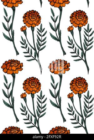 Nahtloses Muster mit farbenfroher botanischer Skizze von Ringelblumen mit Schattierung. Vektor-Textil mit Farbe floral natürliche Zeichnung. Stoff mit Outlin Stock Vektor