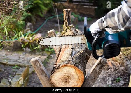 Elektrische Kettensäge in Menschenhänden beim Schneiden eines Holzes für Brennholz. Saisonales Arbeiten im Garten. Arbeiter, der mit einer Säge im Garten arbeitet. Stockfoto