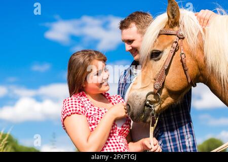 Paar Streichelpferd auf Pony Farm Stockfoto