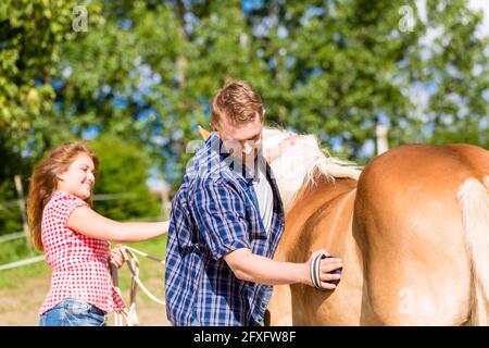 Paar Kämmen Pferd auf Ponyhof Stockfoto