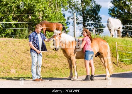 Paar Petting Pferd Pony stabilen Stockfoto