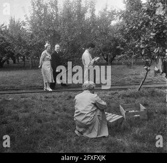 Königin Juliana besucht die Nationale Landwirtschaftsschule in Wageningen wegen ihres 75-jährigen Bestehens, 14. September 1951, Obstbäume, die Niederlande, 20. Jahrhundert Presseagentur Foto, Nachrichten zu erinnern, Dokumentarfilm, historische Fotografie 1945-1990, visuelle Geschichten, Menschliche Geschichte des zwanzigsten Jahrhunderts, Momente in der Zeit festzuhalten Stockfoto