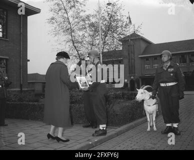 Königin Juliana besucht die Stoottroepen am Grab, Privatperson A. van Dongen bietet Ihrer Majestät ein Foto von Prinzessin Marijke, 28. Oktober 1958, Fotografien, Ziegen, Soldaten, Niederlande, Presseagentur des 20. Jahrhunderts, Foto, Nachrichten zum erinnern, Dokumentarfilm, historische Fotografie 1945-1990, visuelle Geschichten, Menschliche Geschichte des zwanzigsten Jahrhunderts, Momente in der Zeit festzuhalten Stockfoto