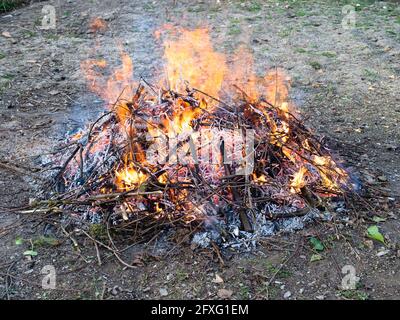 Haufen frisch gesägtes Äste brennen im ländlichen Garten Im Frühling Stockfoto