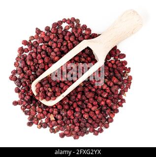 Draufsicht auf Holzlöffel auf Haufen getrockneter Magnolien Beeren (Schisandra Chinensis Samen) auf weißem Hintergrund Stockfoto