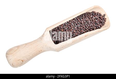 Draufsicht auf schwarzen Senf (Brassica nigra) Samen in Holz Schaufel Ausschnitt auf weißem Hintergrund Stockfoto