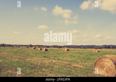 Vintage-Landschaft mit Strohballen auf Stoppeln. Landwirtschaftliche oder ländliche Landschaft im Sommer in Polen fotografiert. Stockfoto